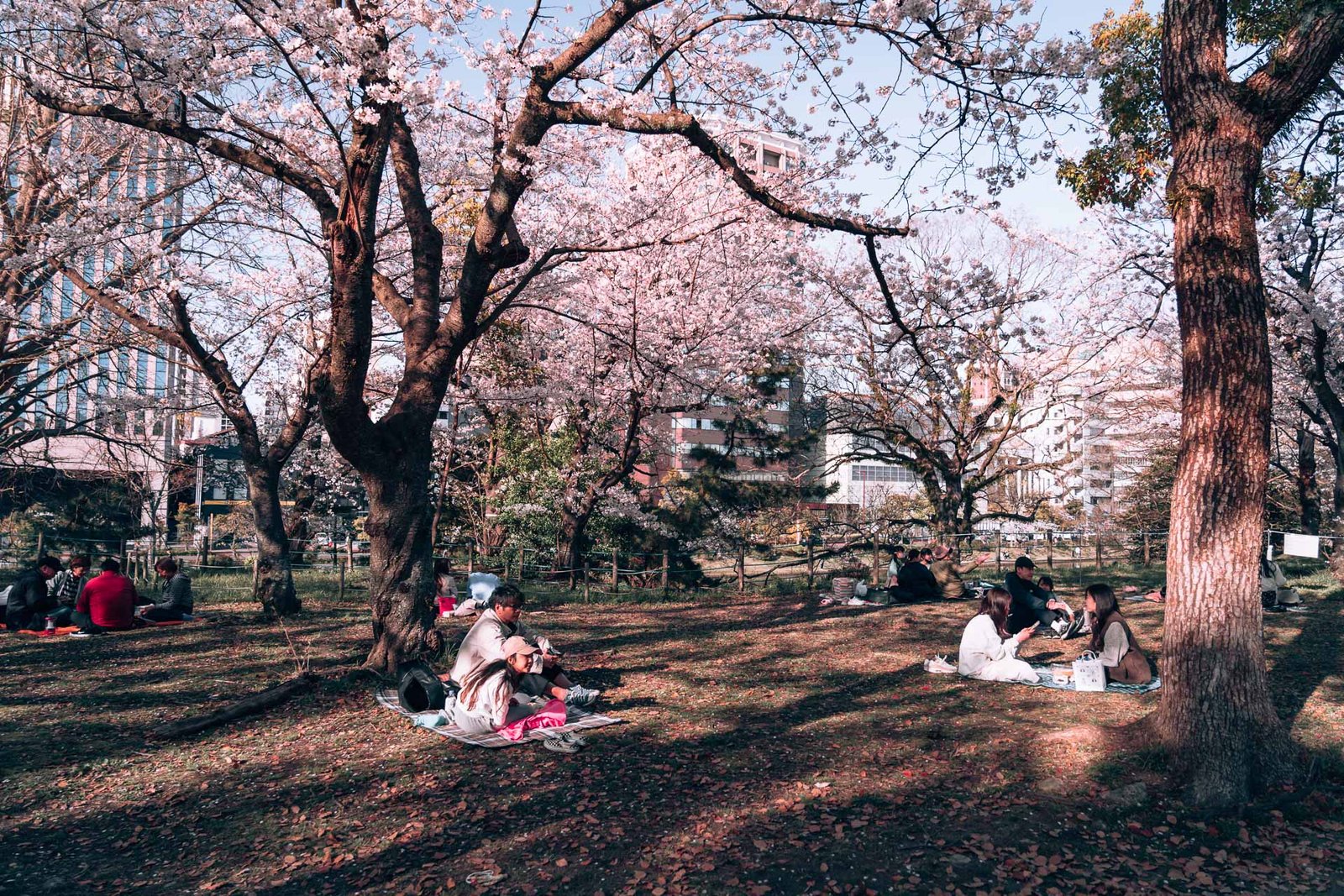 Fukuoka - Ohori Park Sakura Festval Daytime31- BLOGPOST HQ Fukuoka - Ohori Park Sakura Festval Daytime31- BLOGPOST HQ