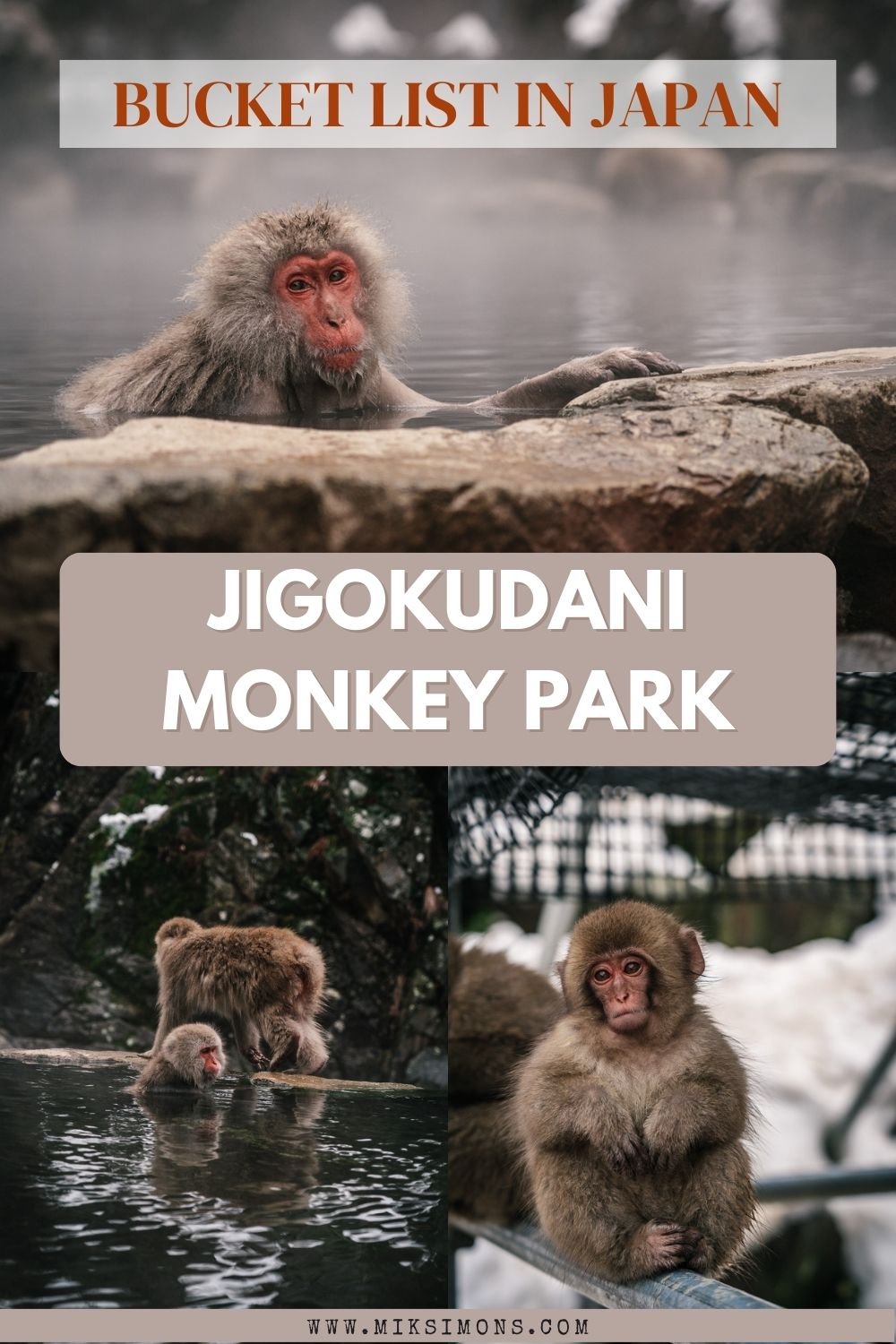 JIGOKUDANI MONKEY PARK - THE MOST FAMOUS HOT SPRING WITH MONKEYS IN JAPAN3 JIGOKUDANI MONKEY PARK - THE MOST FAMOUS HOT SPRING WITH MONKEYS IN JAPAN
