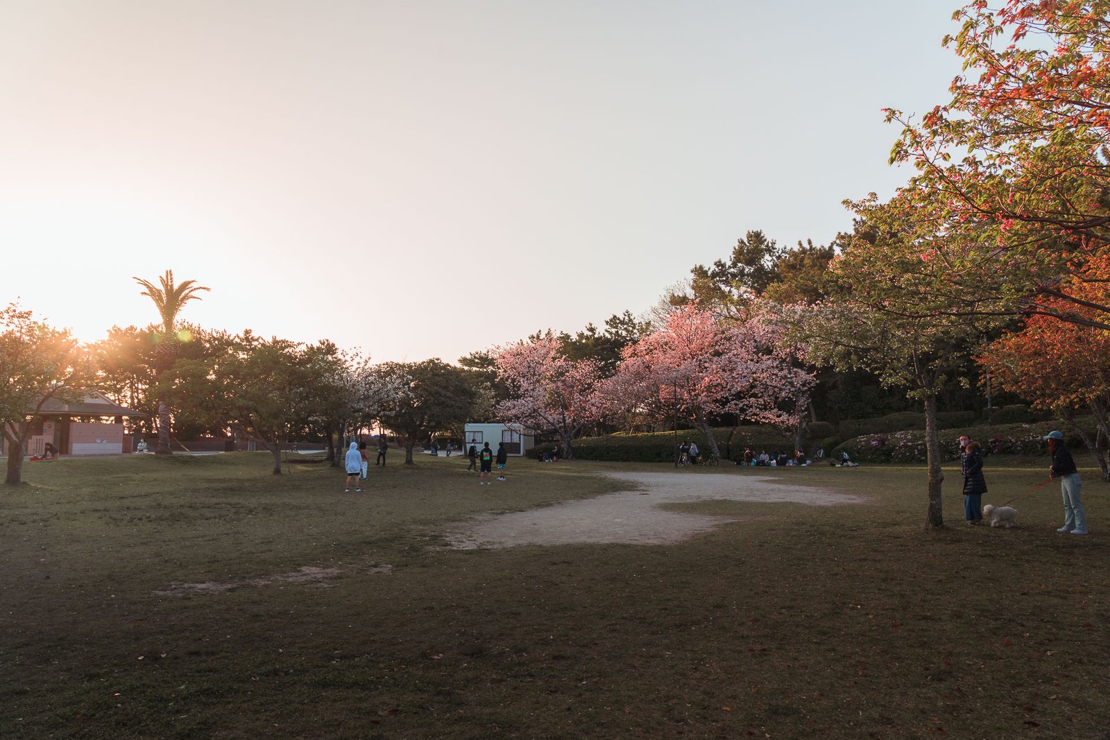 Meinohama - Odo Park2- BLOGPOST HQ-2 Meinohama - Odo Park2- BLOGPOST HQ-2