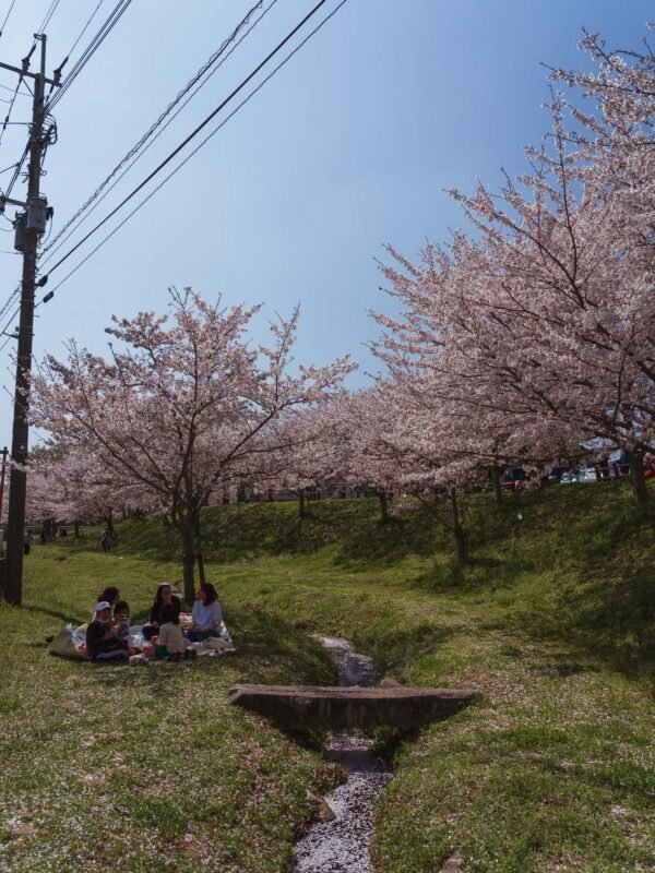 Minamizu - Rest stop and Cherry Blossom trees19- BLOGPOST HQ Minamizu - Rest stop and Cherry Blossom trees19- BLOGPOST HQ