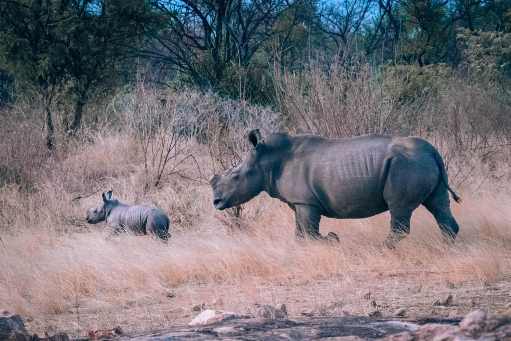 Bucketlist: Matobo National Park in Zimbabwe